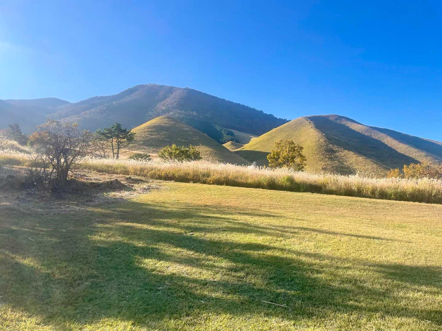 まずはおにぎり山へ