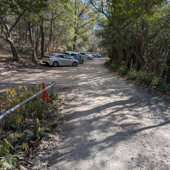 今日も車いっぱい