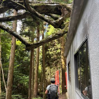 ちょっと怖い

