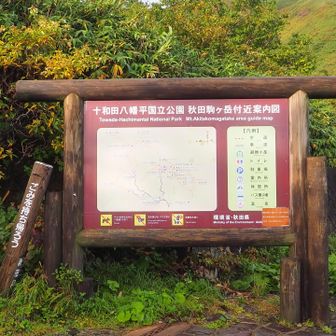 登山届を書いて、
登山スタートしました。