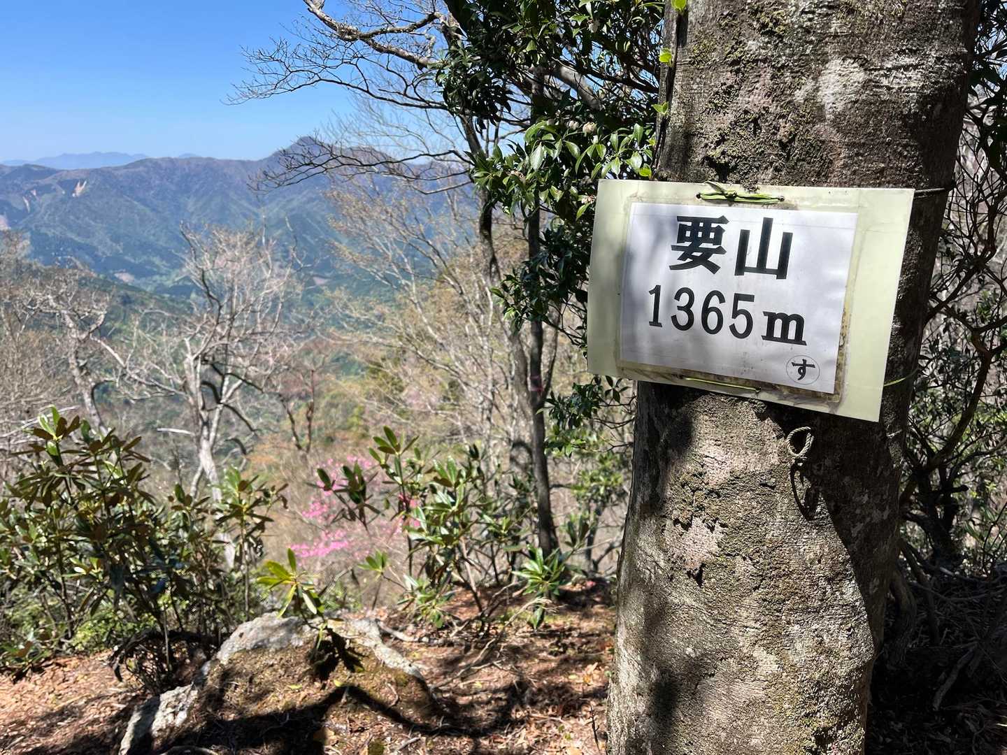 夏木新道登山口-夏木山-鹿の子山-五葉岳 往復コースの写真