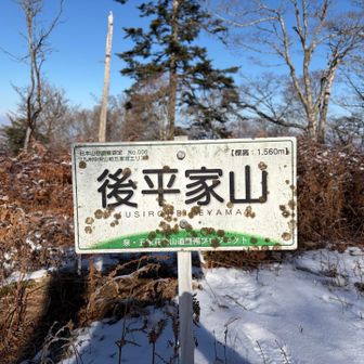後平家山