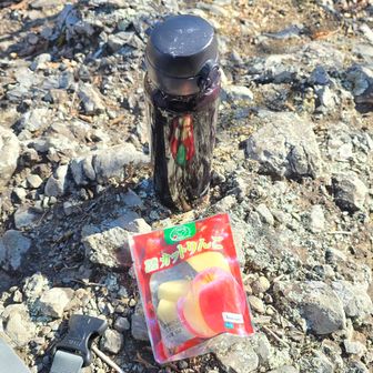 ここでお昼ご飯を食べて、デザートにカットりんご