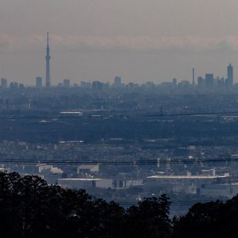 暖かいから空が濁ってるけど、スカイツリーはしっかり見えた