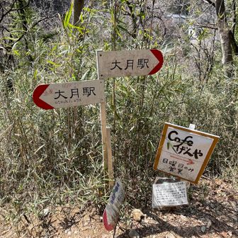 登山口まで降りてきました😊
カフェあるのね☕️