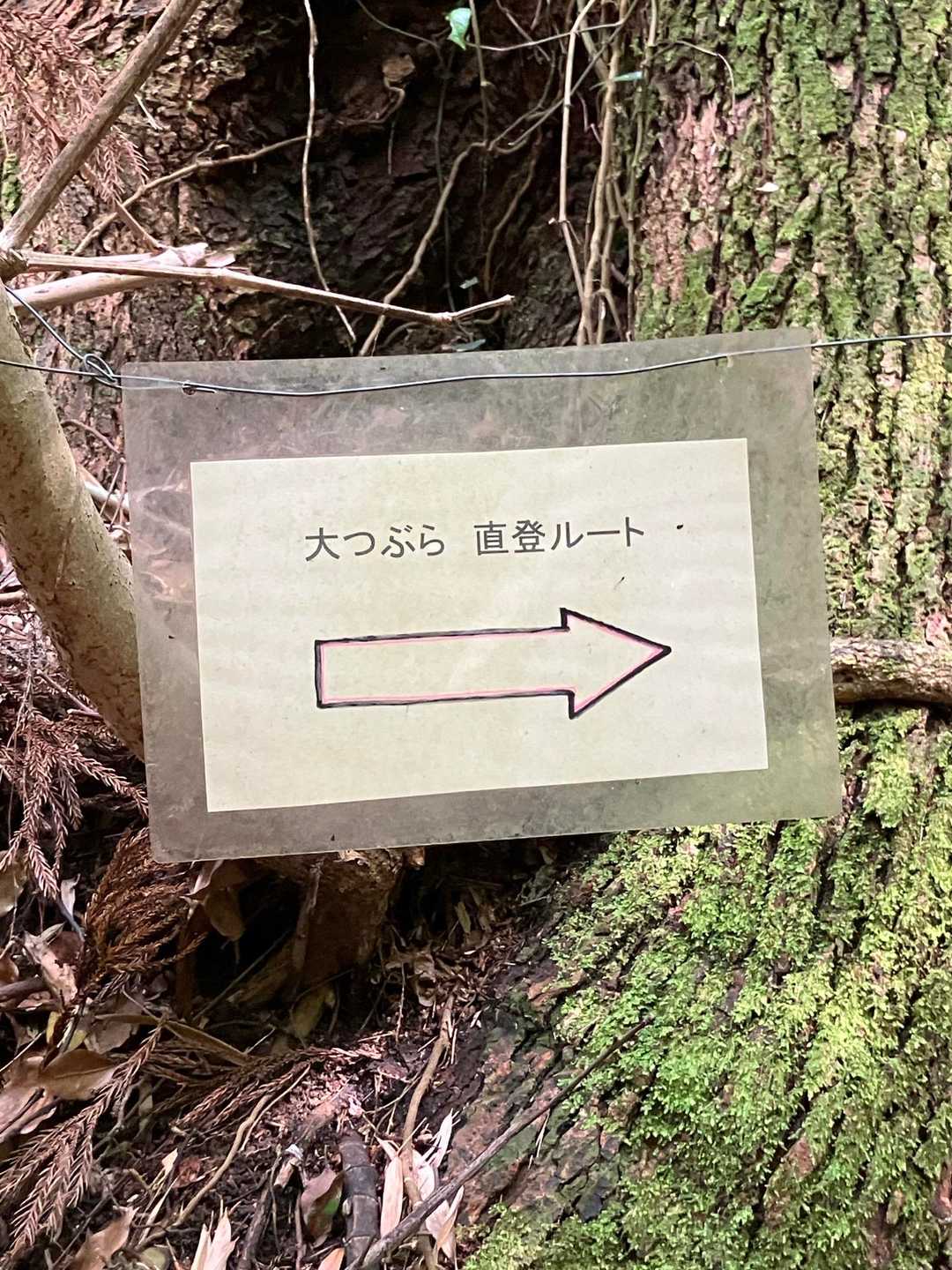 ココから行くのですね‼️ドキドキ💓