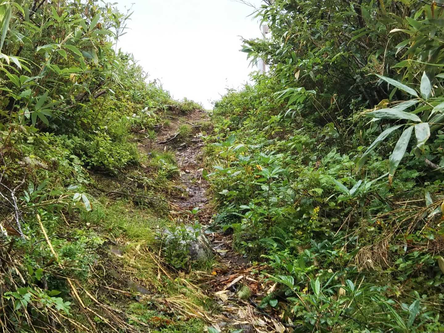 強風と小雨のぱらつく中何とか山頂に。