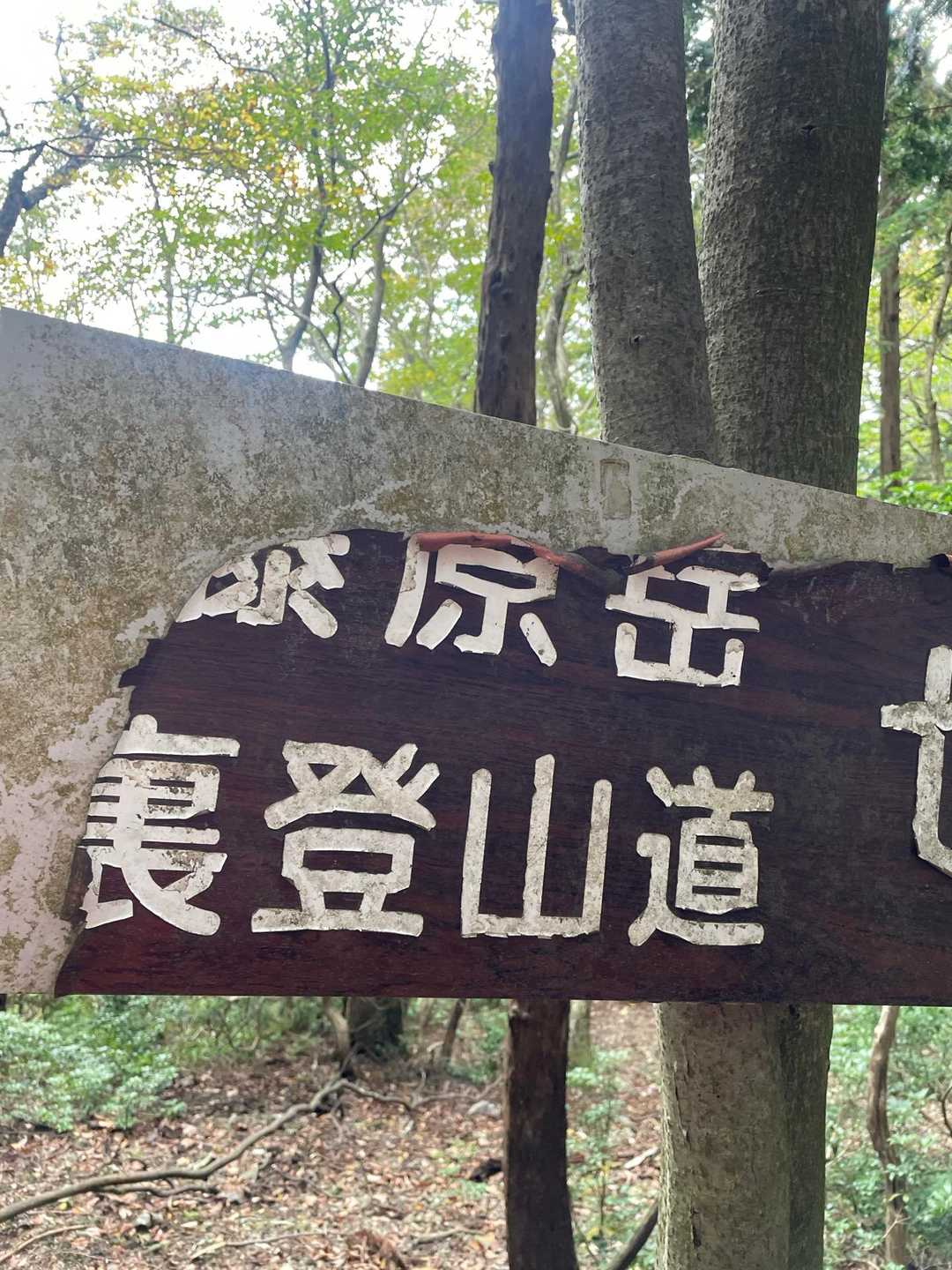 下山は裏登山道
アケボノソウ　が咲いていた情報があったので探しながら歩きます
アケボノソウ　ウルトラマンの顔に似ていると思うのですがどうでしょう？