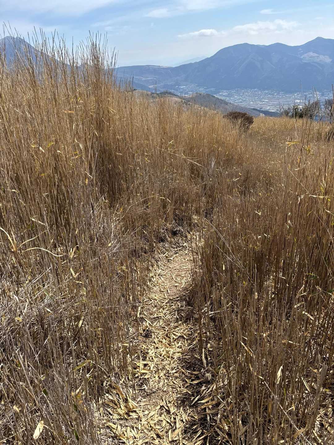 ここからは周回コースの東登山口へ笹藪続きで下ります！
このコースは時計周りが正解ですね！
登りはきっときついと思います😓
ずっと急な下りばっかりでした！