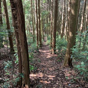 小休止して降ります
きょうはランチタイムはナシ
