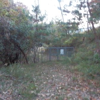 入口が見えました