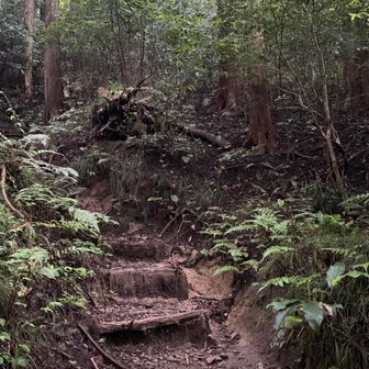 登山者用駐車場と山頂駐車場があるが、登山者用駐車場に停めて登山開始💪
駐車場までの山道は細くて車のすれ違いが難しいところが多いが、本日この時間に駐車場に停めたのは私だけでした🤣

駐車場からすぐに登山道があります。