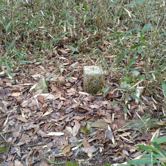 岩崎山山頂　標高209m　四等三角点