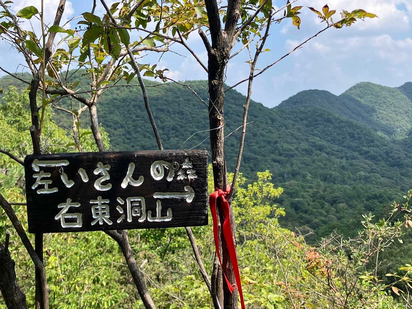 左へ　遺産の森へ