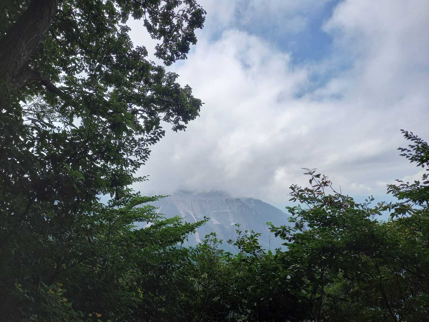二子山 周回コースの写真