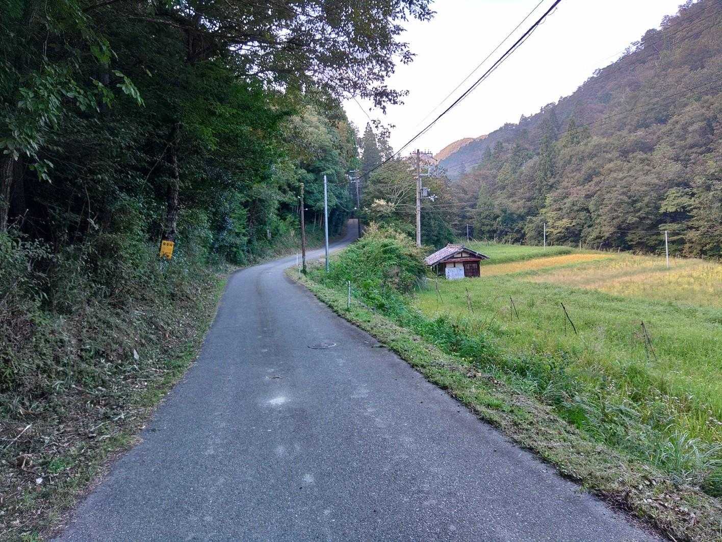 のどかな田舎道