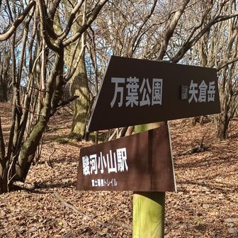 分岐・駿河小山にも行けるのか。