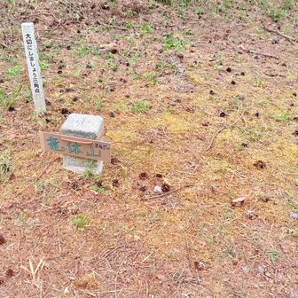 山頂まで5分です