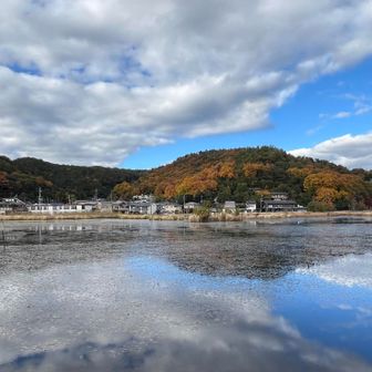 深泥池です。
( みどろがいけ、みぞろがいけ 二つの読み方があるそうです )

池と湿地から成っています🤔