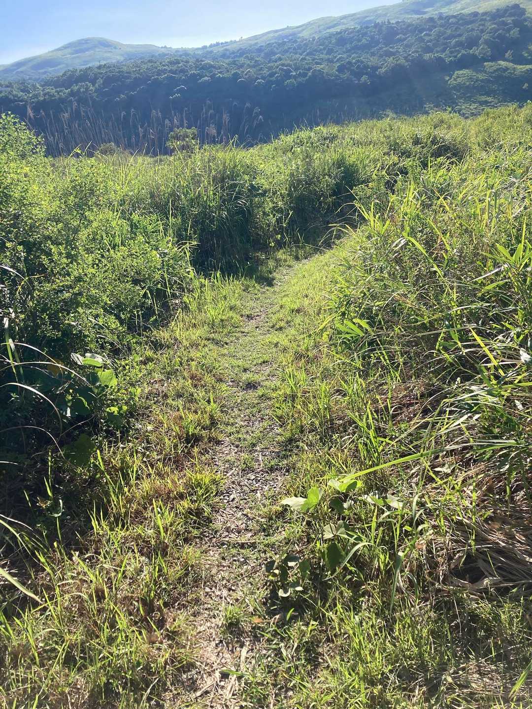 ん？
道が細くなってきた？
まあまだ歩ける範囲ですね。