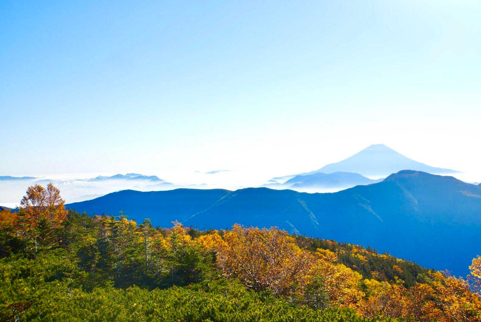 大聖寺平-小赤石岳の肩-小赤石岳-赤石岳-富士見平 縦走コースの写真