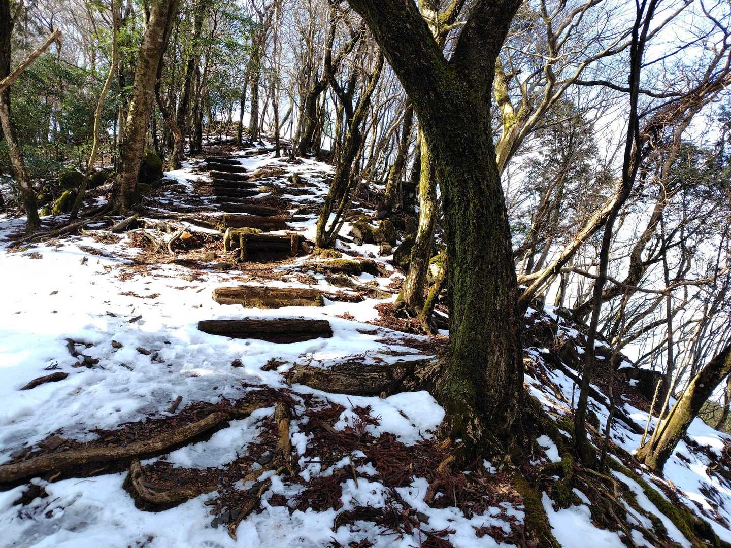 階段を踏み締めて、もうすぐ山頂です。