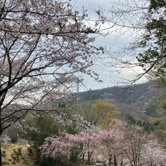 真ん中に牛伏城