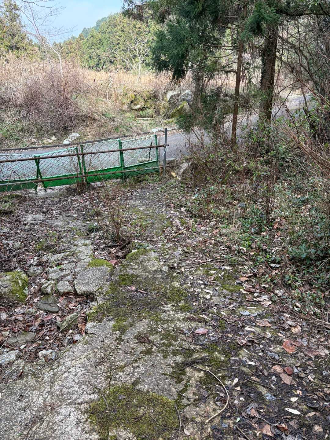 成竹山登山口-成竹山-大丸山-鷲ヶ岳 周回コースの写真