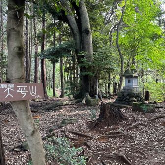 山頂は雷電神社の祠あり