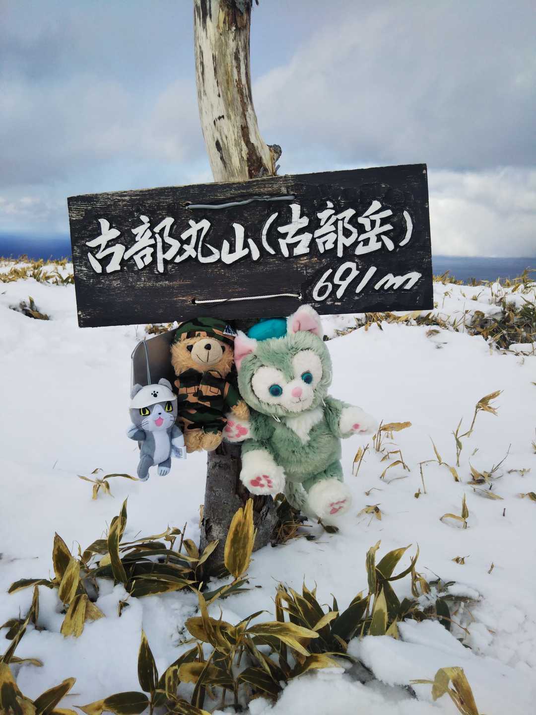 ようやく着いた