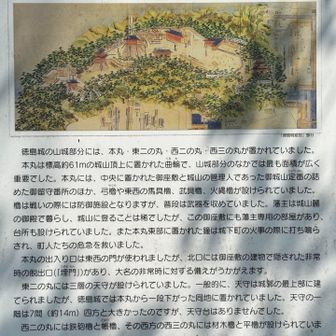四国で徳島だけ城が現存しておらず、残念です