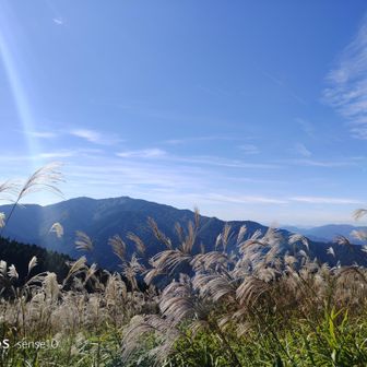 第1チェックポイントの葛城山、いただいた豚汁撮り忘れたけど美味しかった〜
これからススキの向こうの金剛山へいきます💦
