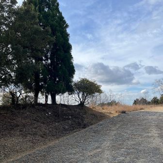 高円山山頂はこんな感じ。なんか味気ない。