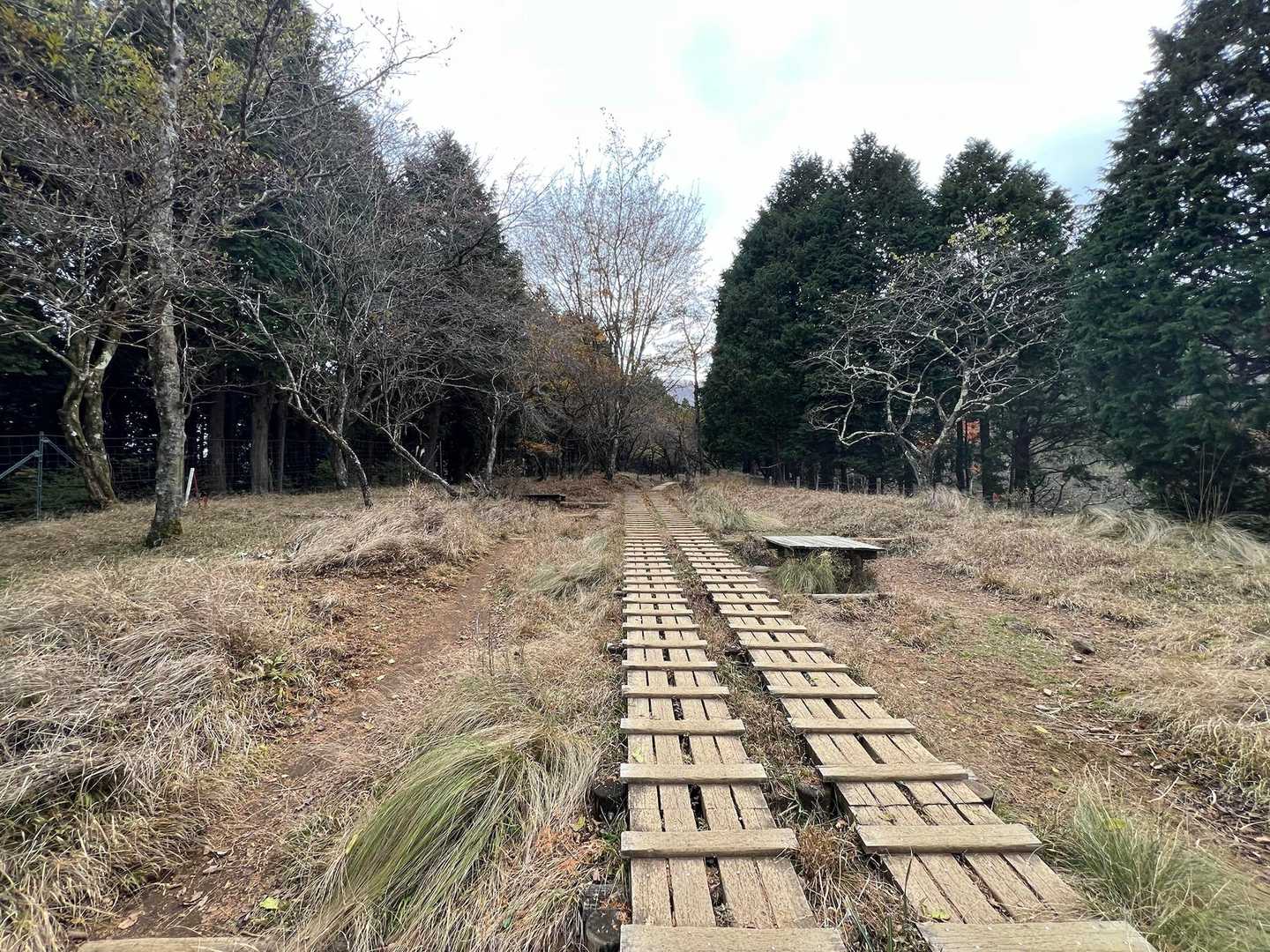 ここ一帯みたい