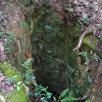 雲母の穴　かなり深いものもそのままにしてあります　ご注意⚠️