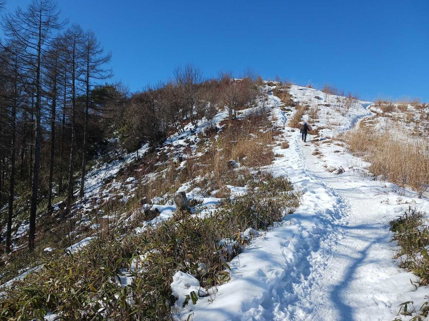 途中で抜かれました。気付いた時すぐ後ろにいました。