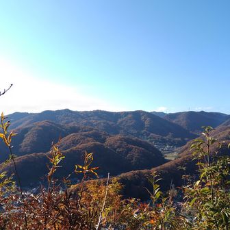 掛平山の眺望です。