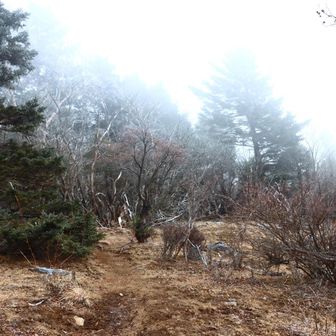 あー。ガスガス。
快晴どこ行った？