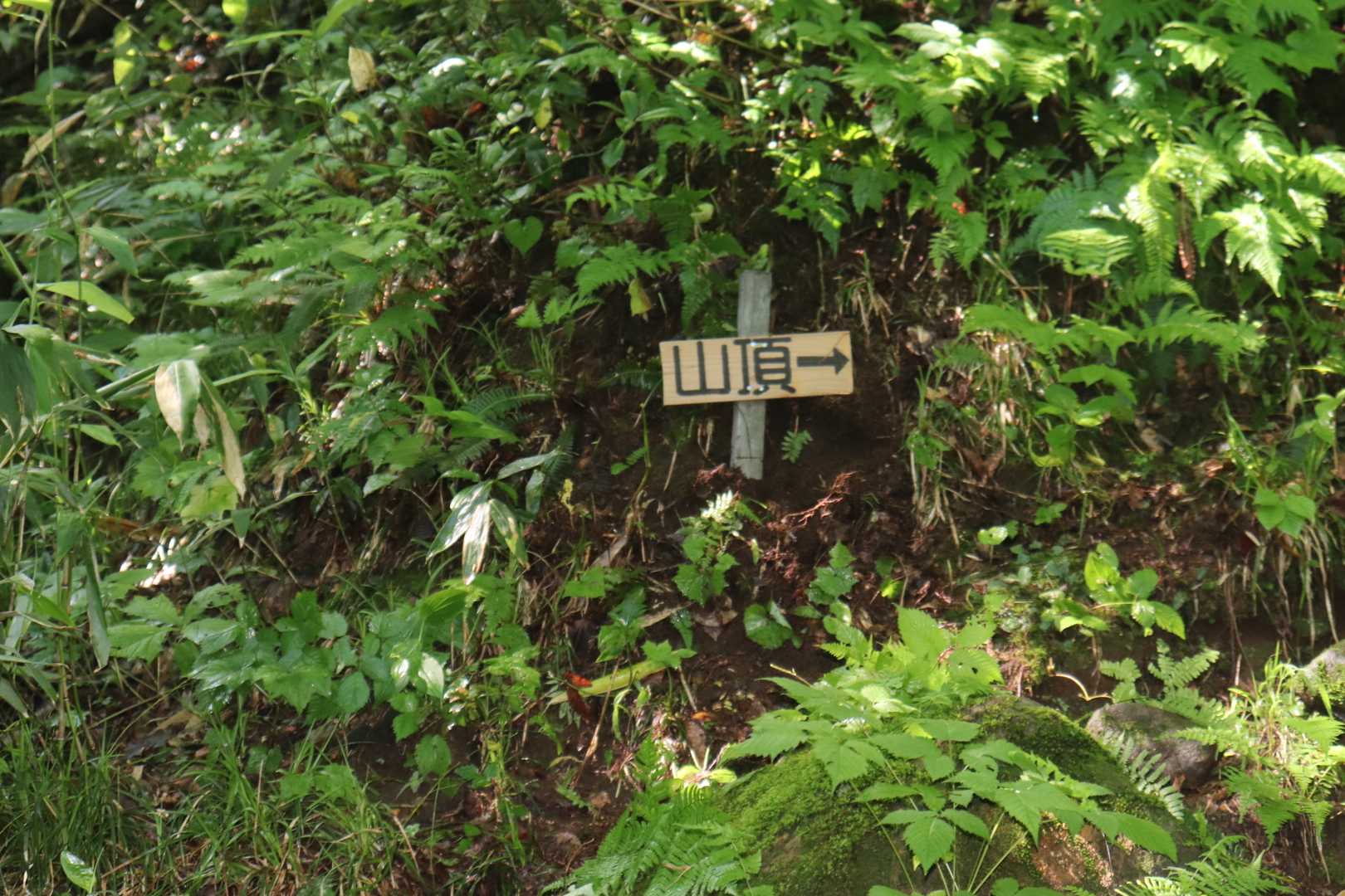 ようやくミッションクリア、大関山同様小さくて申し訳ないが🙇‍♂️
みなさん、山頂は右ですよ！右！