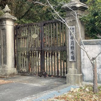 ココから歩きも加わる！