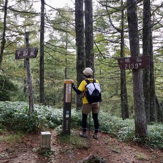千頭星山到着🏔´-ここは眺望なし。
おやつタイムして下山ー