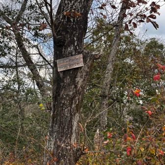 やっとボンデン（梵天）山

梵天とは釈迦が悟りを開いた時に皆に教えを話すように言った神だそうです

梵天さんがいなかったらこの世に仏教はなかったかも🙄