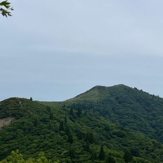 御殿山から山頂を見上げる
