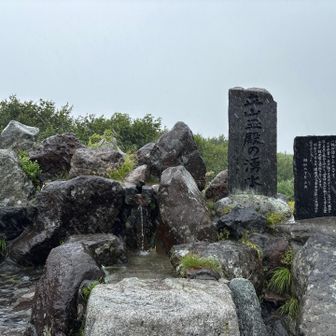 湧水汲んでも雨水混じりだね
