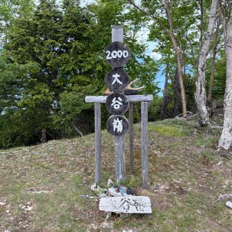 ちょうど2000なのね？