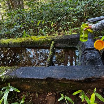 池山小屋下の水場
美味しかった💦