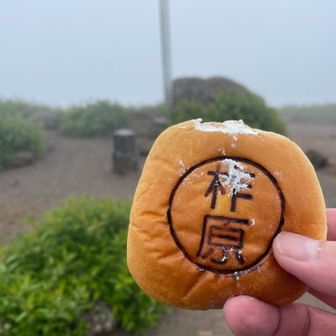柞原ホイップあんぱん
ホイップがはみ出してたけど、それでもウマウマ