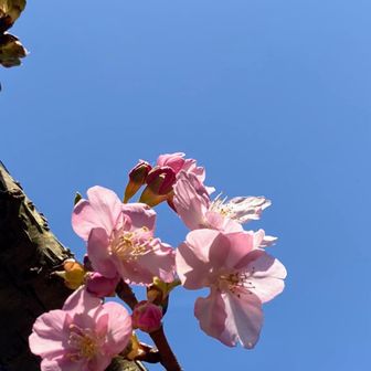 楽しかったなぁ😊