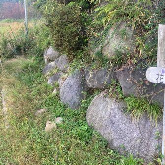 一旦下山し、こちらから花咲山へ🚶
この先、草が生い茂り登山道が分かりにくく、一瞬迷いました💦