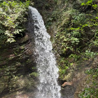 男滝
今日は水流がやや強めらしい